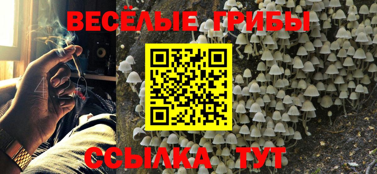 Псилоцибиновые грибы ЛСД Сибай